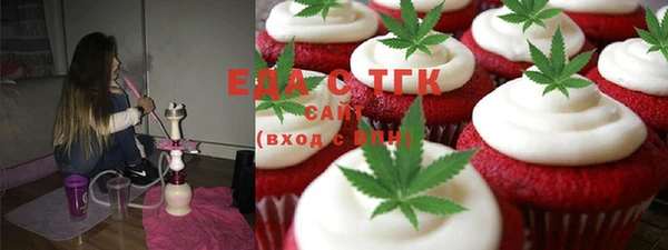 индика Аркадак