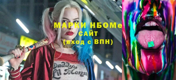 индика Аркадак