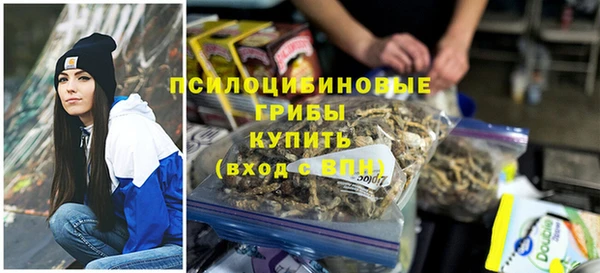 мет Арсеньев