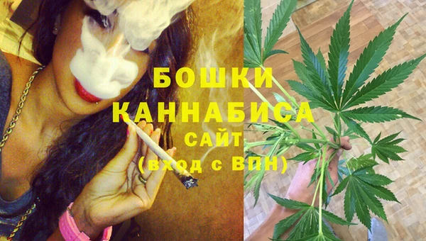крисы Пересвет