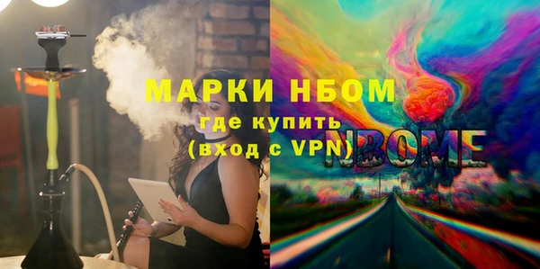 индика Аркадак