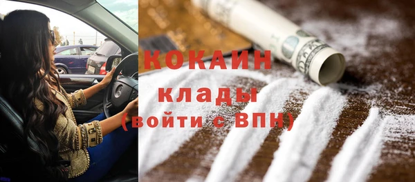 индика Аркадак