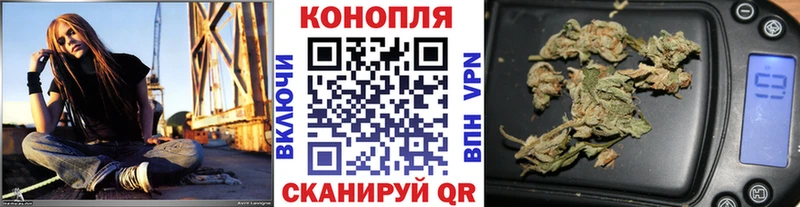 гидра tor Павловск Бошки марихуана сатива
